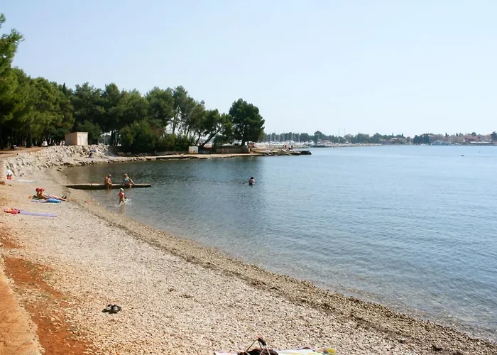 With Swimming Pool Novigrad - 7078